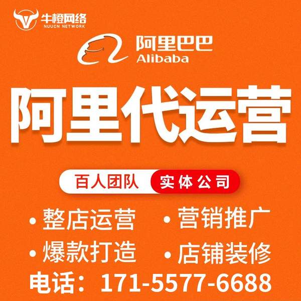 温州电商代运营