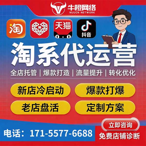 温州电商代运营