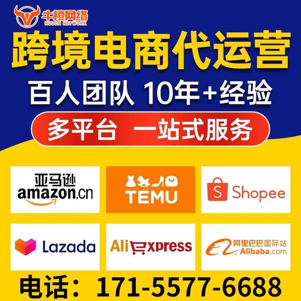 温州电商代运营