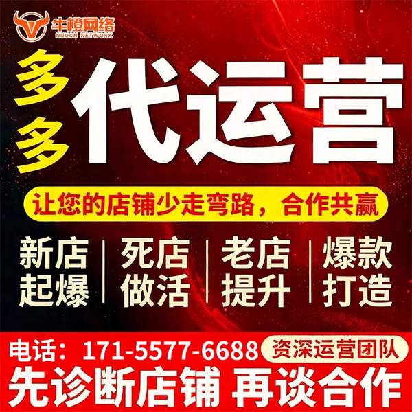 温州电商代运营