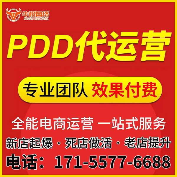 温州电商代运营