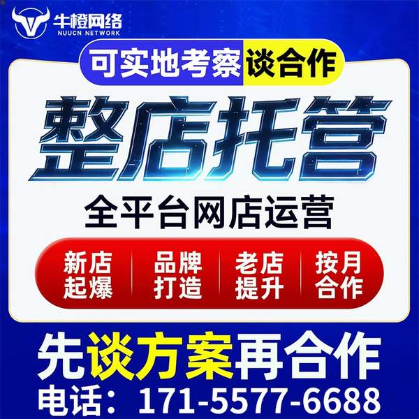 温州电商代运营
