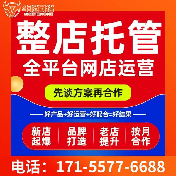 温州电商代运营