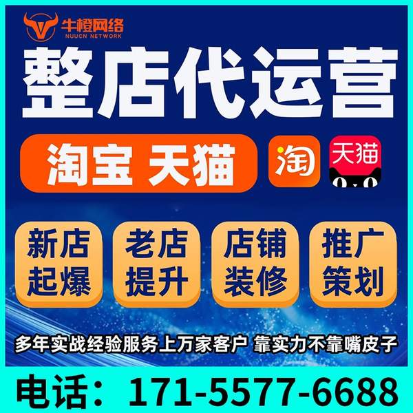 温州电商代运营