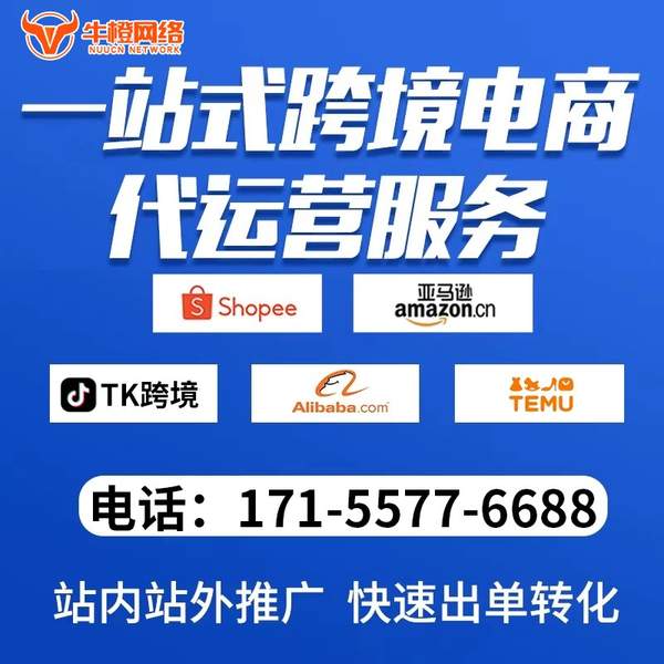 温州电商代运营