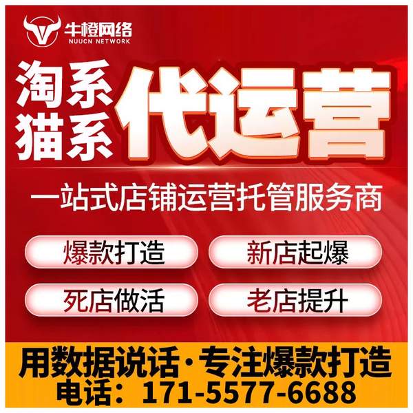 温州电商代运营